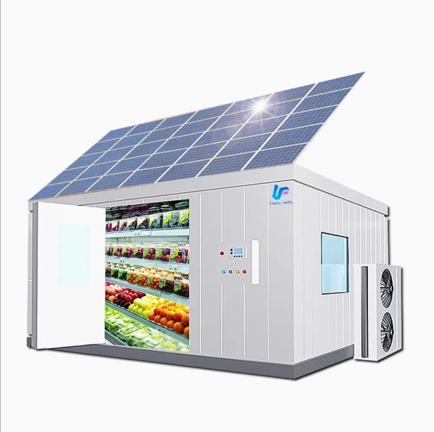 Solar Cold Storage Chill Walk in Freezer Room with Built-in Battery Storage System Refrigeration Equipment - Image 3