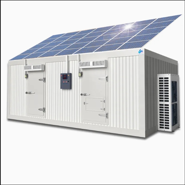 Solar Cold Storage Chill Walk in Freezer Room with Built-in Battery Storage System Refrigeration Equipment - Image 6