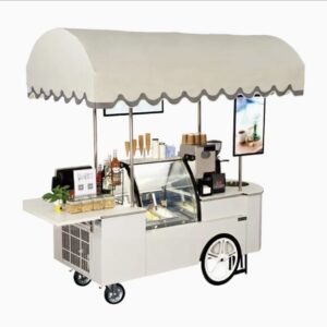 Mobile Outdoor Gelato Ice Cream Food Bike Food Push Vending Cart