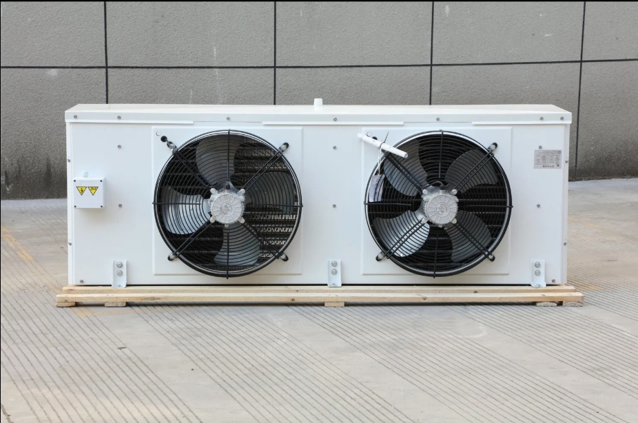 Solar Cold Storage - Image 6